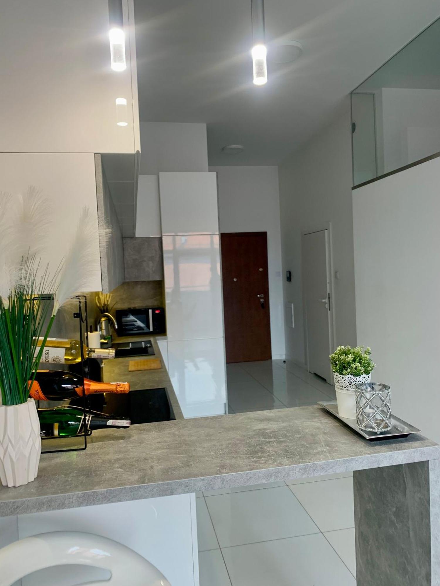 Ekskluzywny Loft Tymienieckiego Apartment Lodz  Luaran gambar
